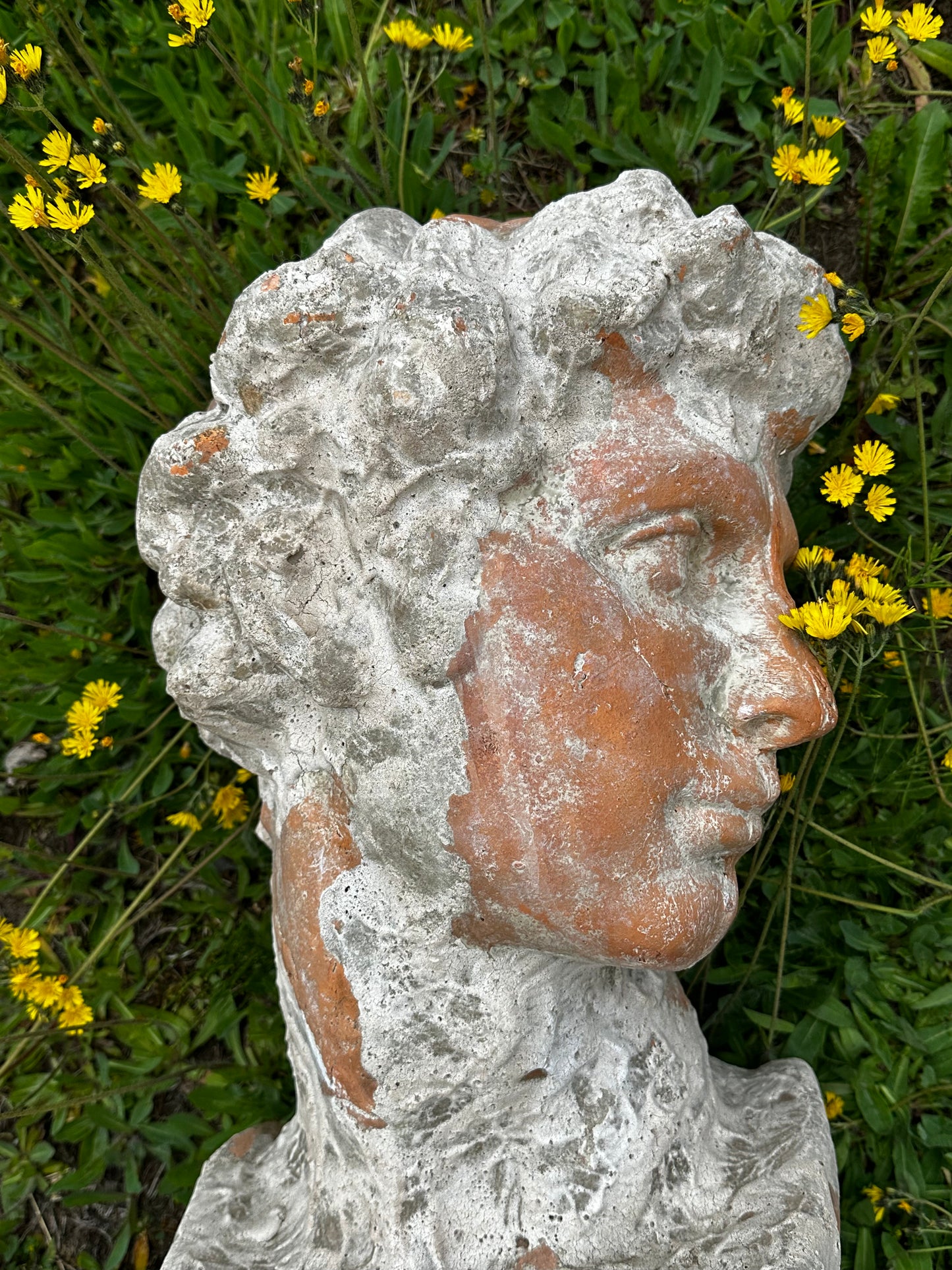 TERRACOTTA MALE BUST