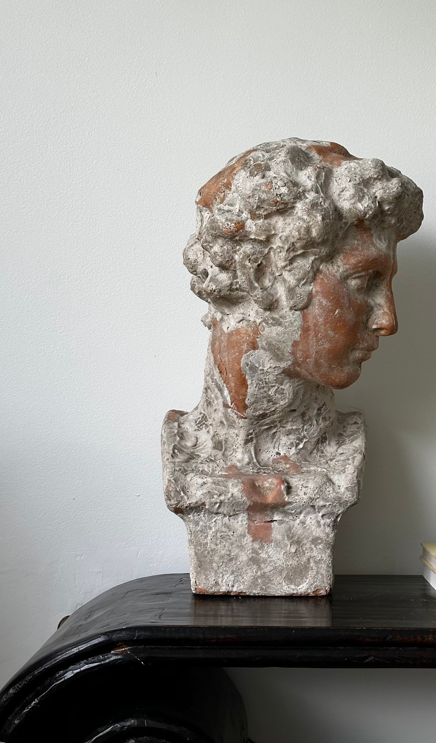 TERRACOTTA MALE BUST