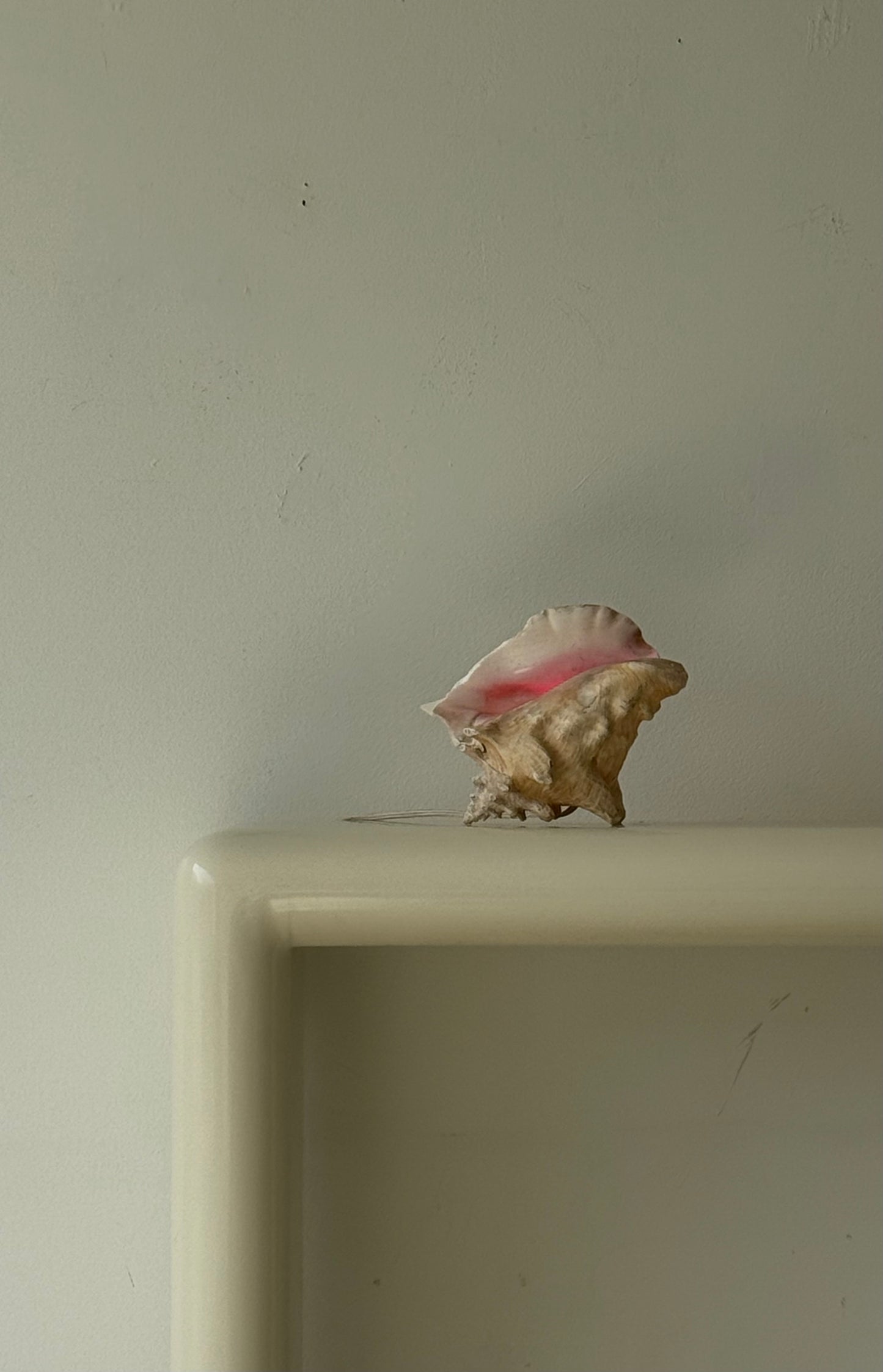 VINTAGE CONCH SHELL LAMP