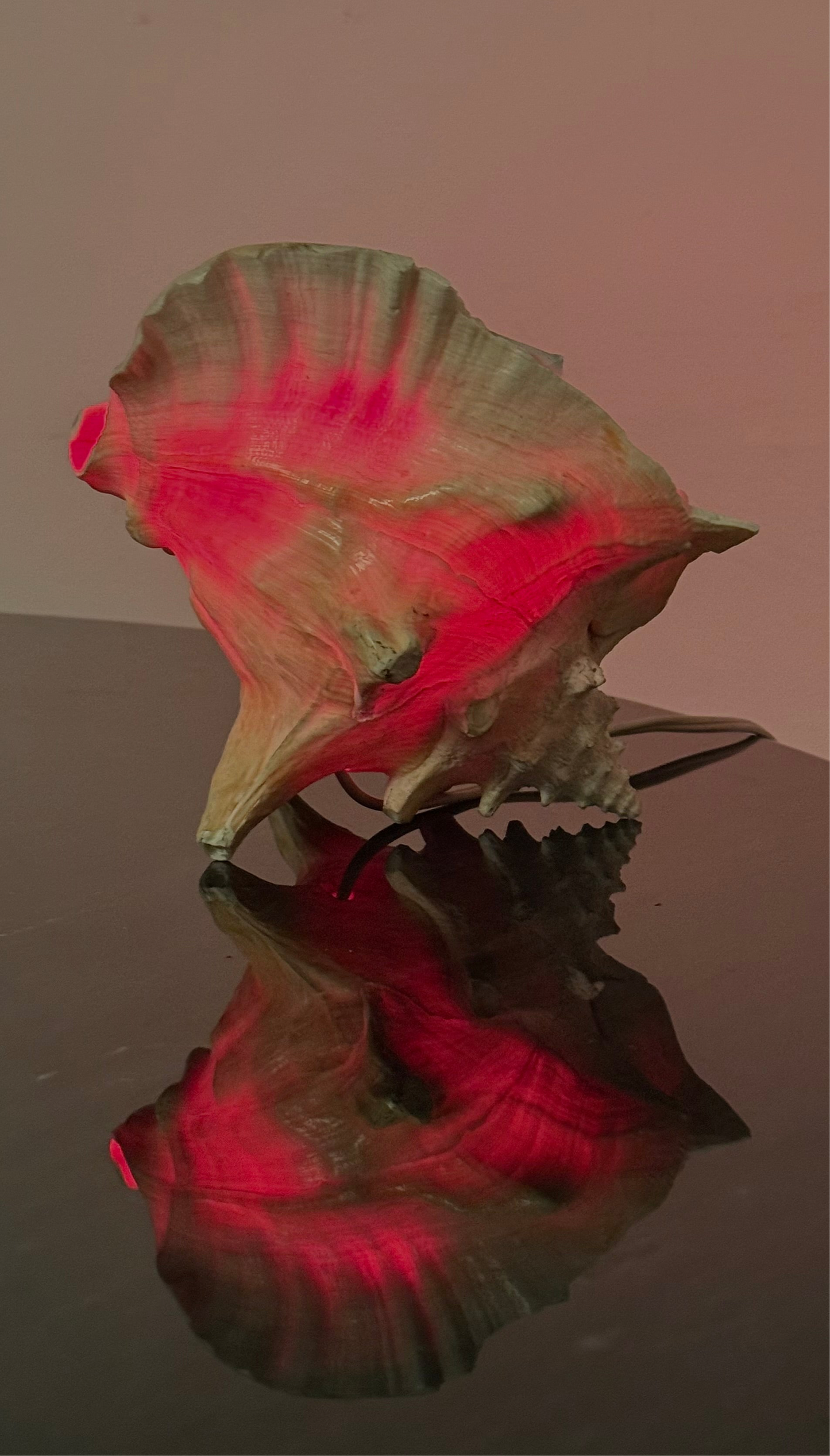 VINTAGE CONCH SHELL LAMP