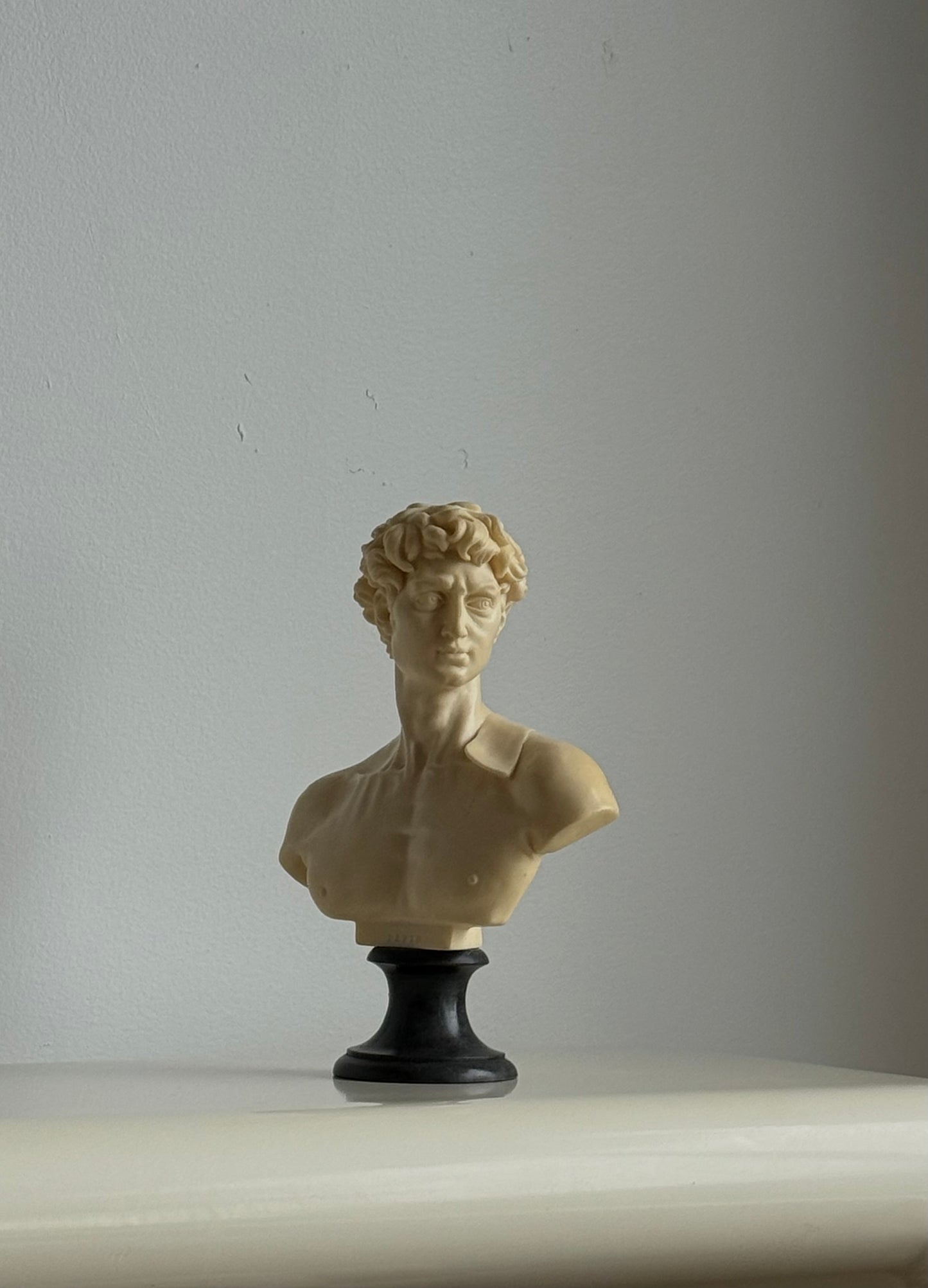 Mid Century David Bust