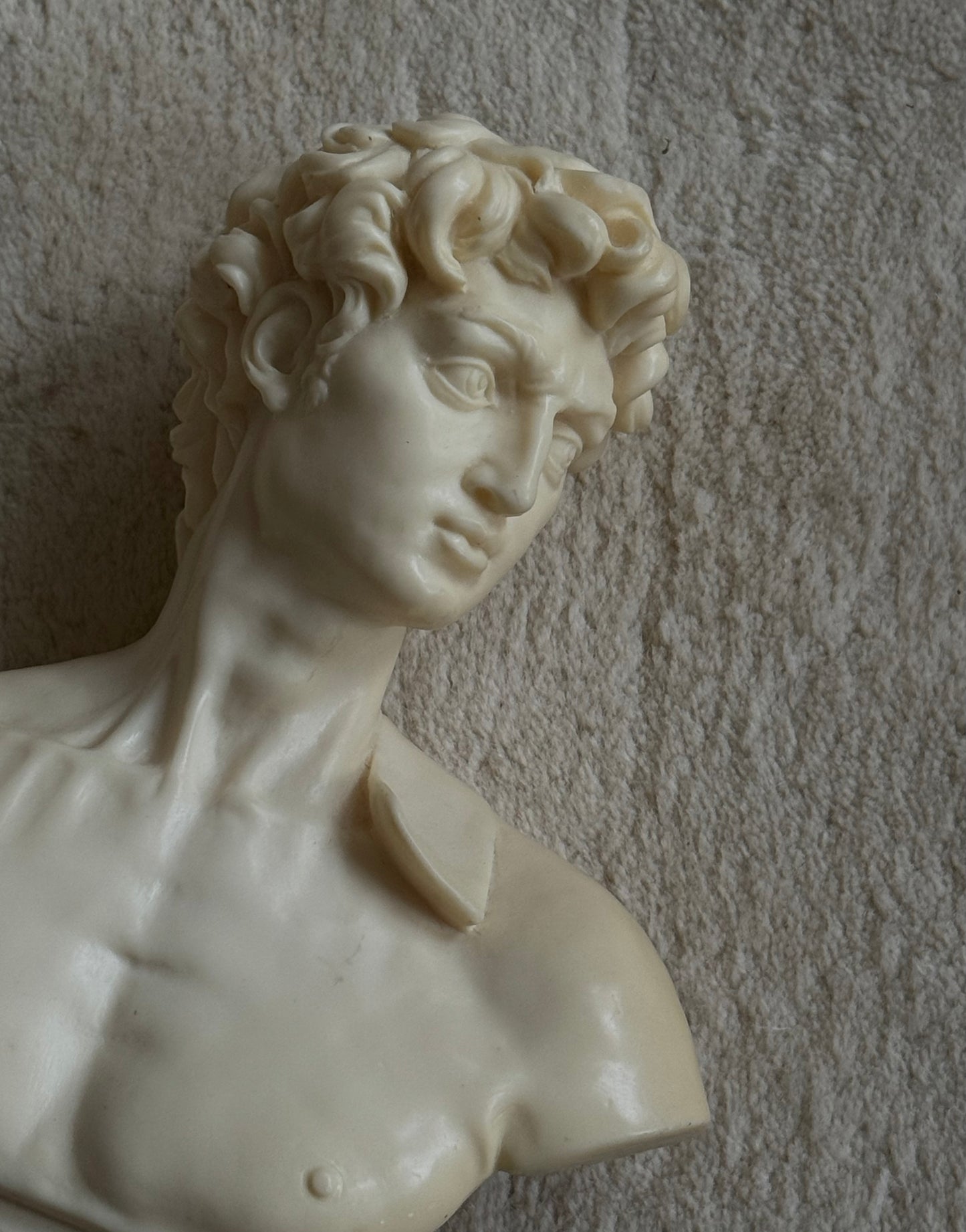 Mid Century David Bust