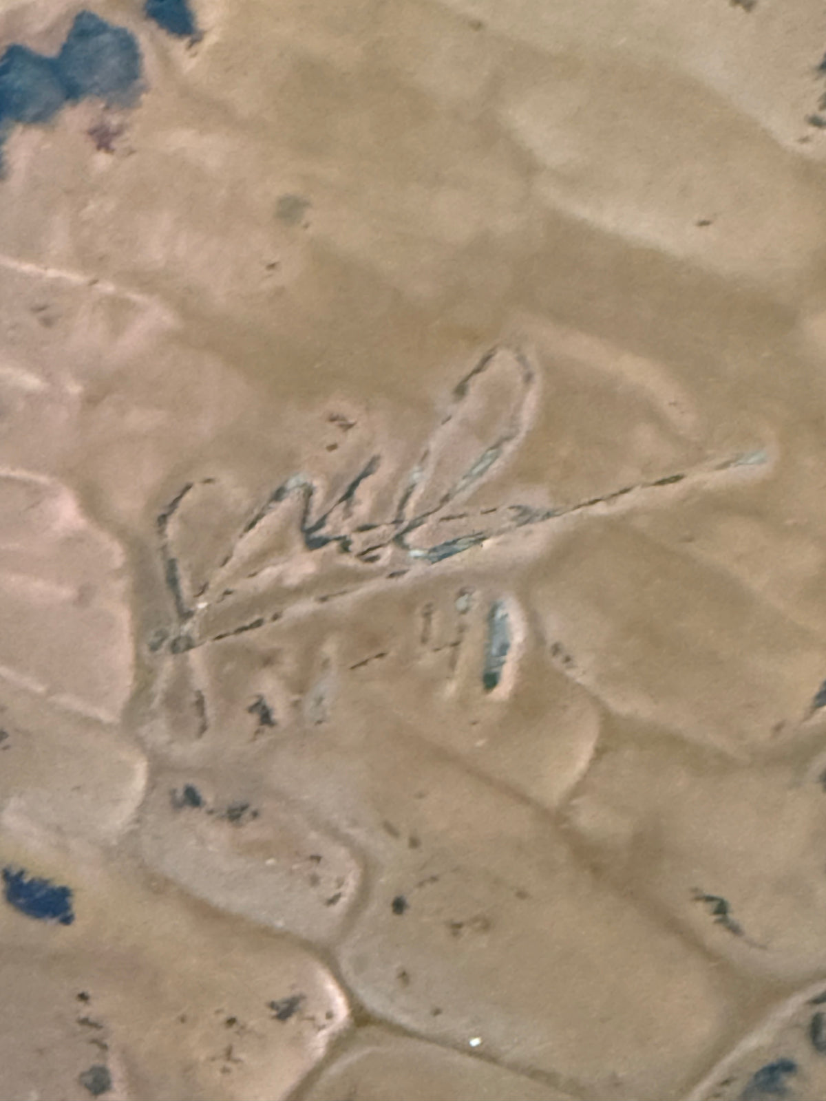 Mid-century modernist copper relief sculpture