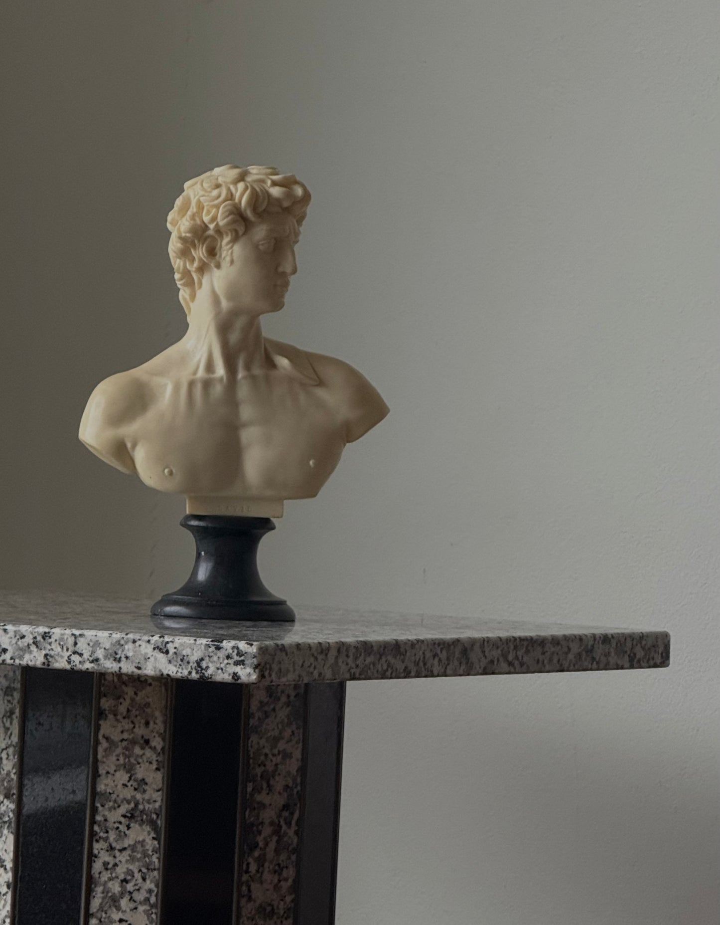 Mid Century David Bust
