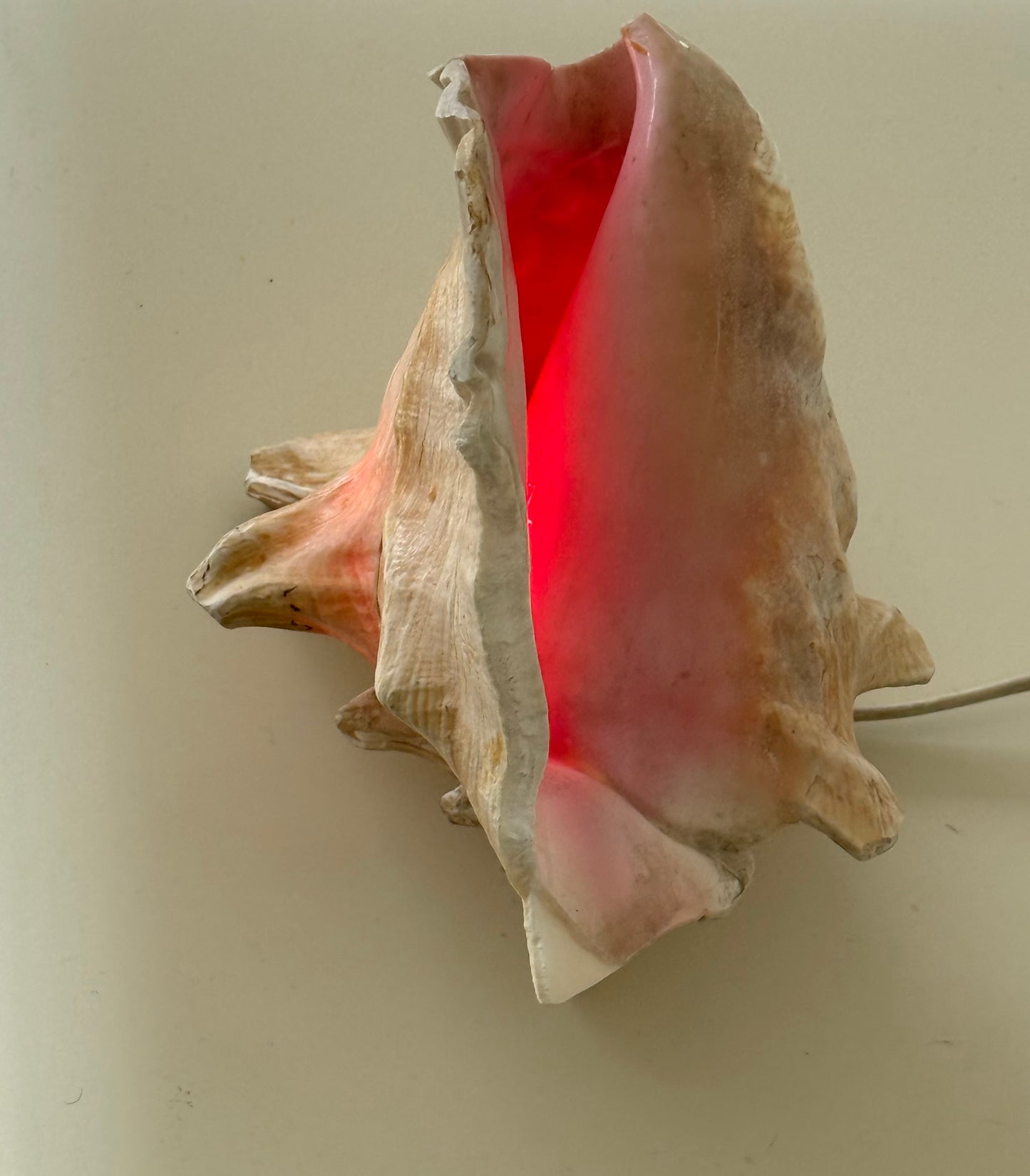 VINTAGE CONCH SHELL LAMP
