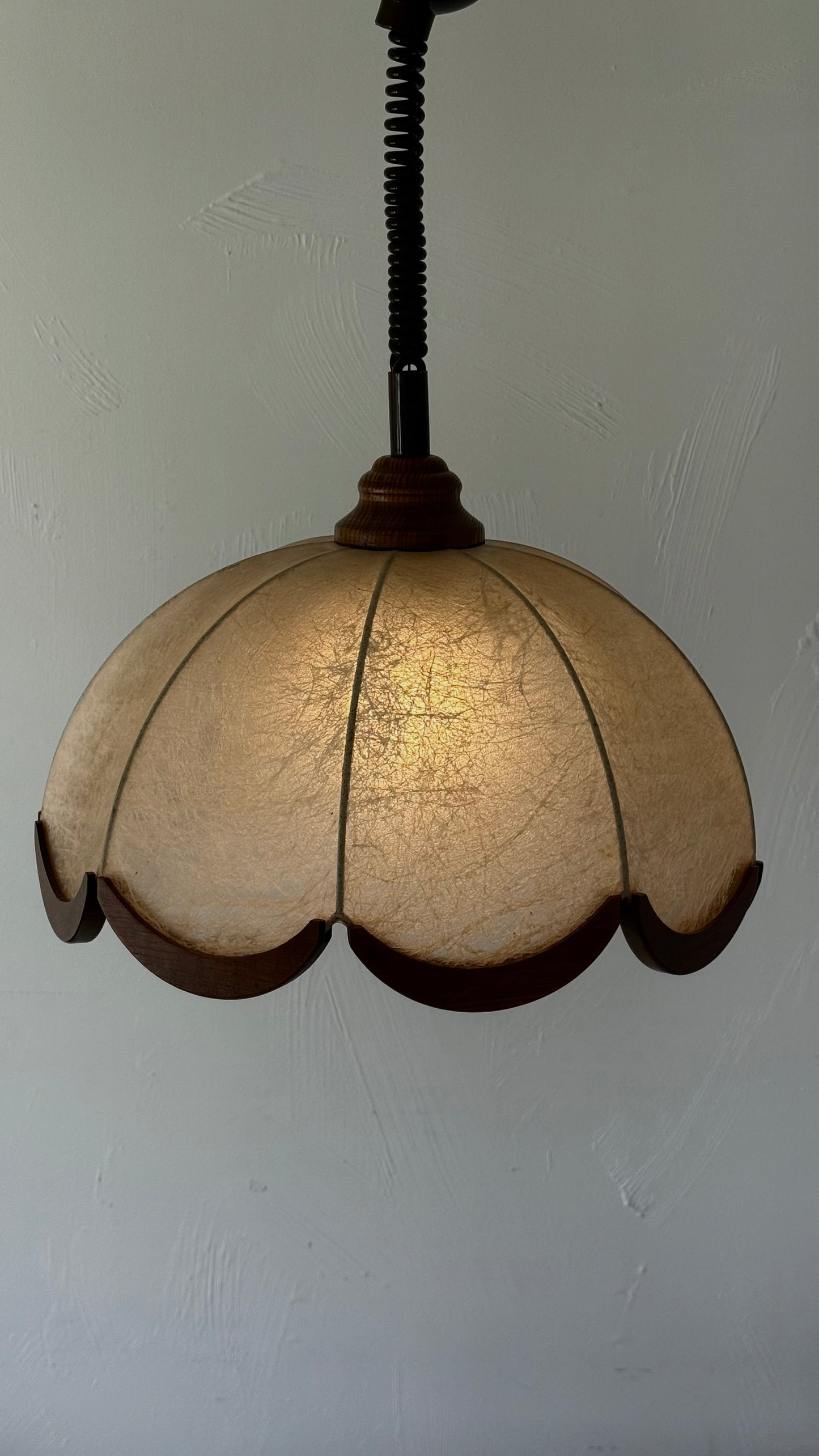1970s COCOON Pendant light