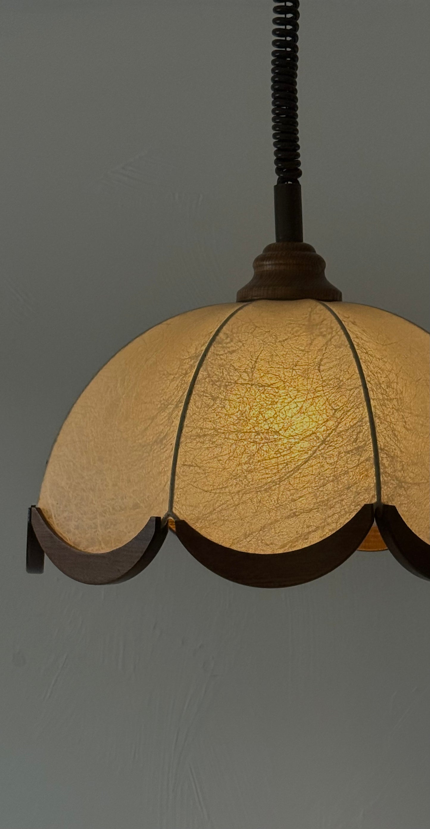 1970s COCOON Pendant light