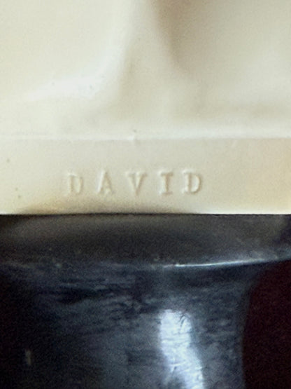 Mid Century David Bust