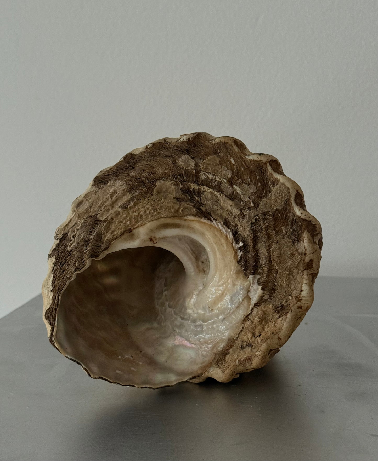 Vintage Wavy Top Turban sea shell