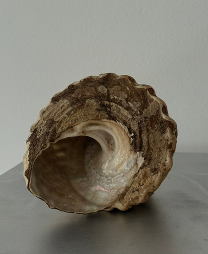 Vintage Wavy Top Turban sea shell