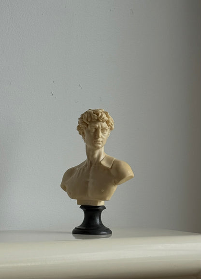 Mid Century David Bust