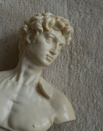 Mid Century David Bust