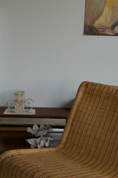 RARE Tridacna SQUAMOSA Shell