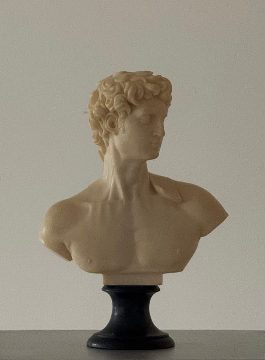 Mid Century David Bust
