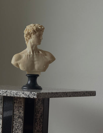 Mid Century David Bust