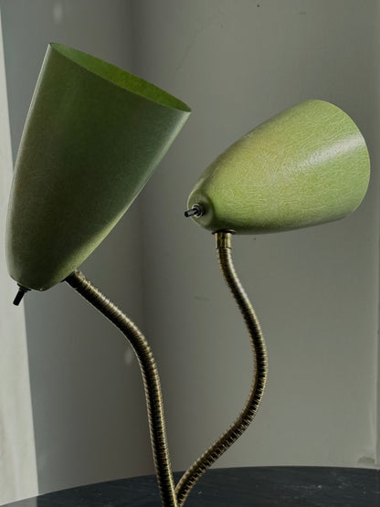 FIBREGLASS & GOOSENECK LAMP