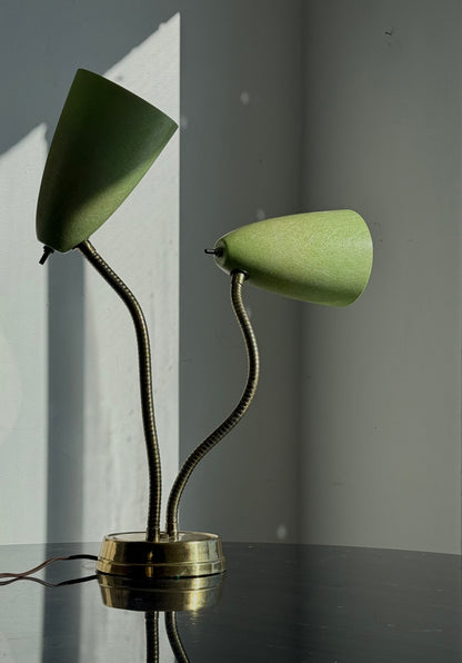FIBREGLASS & GOOSENECK LAMP